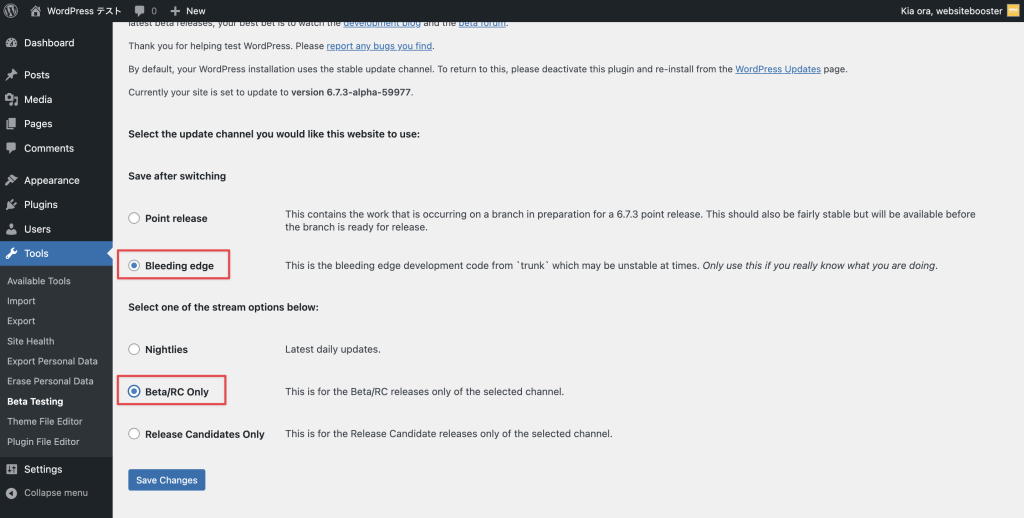 WordPress 6.8 RC1がリリース - 注目ポイントとテスト方法を解説 5